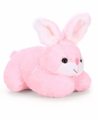 RABBIT SOFT TOY (25 CM) - MULTI COLOUR